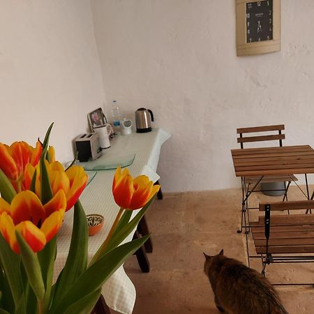 Razzett Warda B&B Għasri Exteriér fotografie