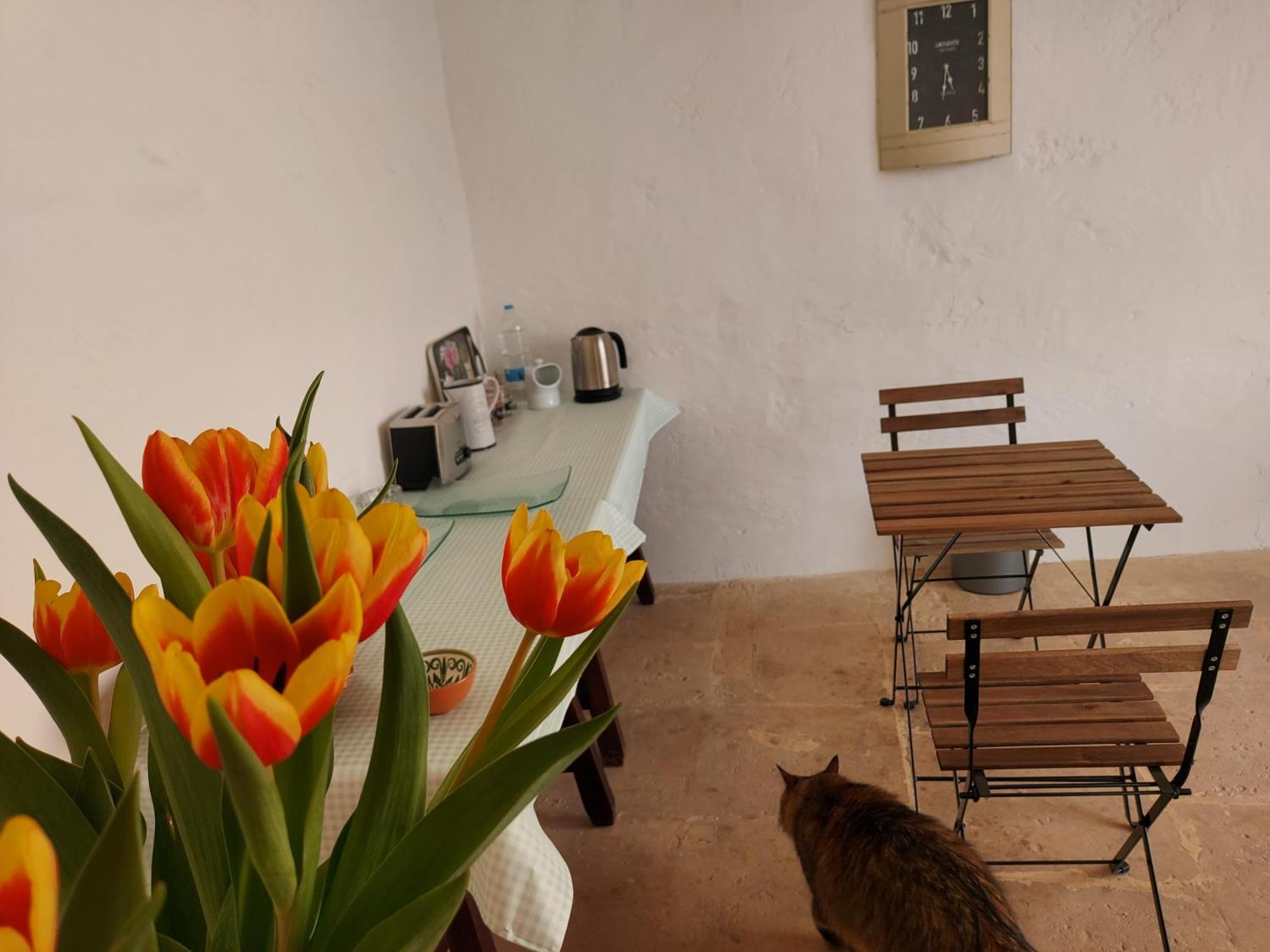 Razzett Warda B&B Għasri Exteriér fotografie